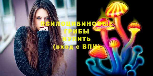 бошки Абинск