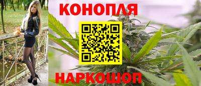 сатива Лесосибирск