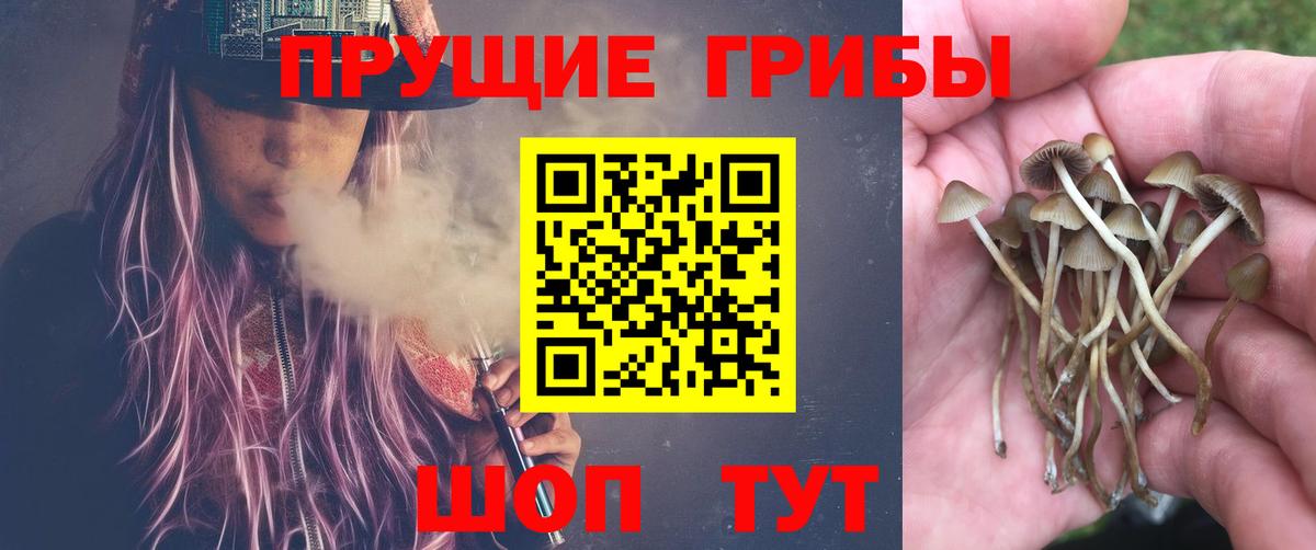 Галлюциногенные грибы мицелий Сорочинск